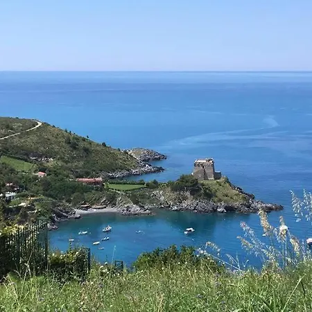 Bright Space In A Superb Location Apartment